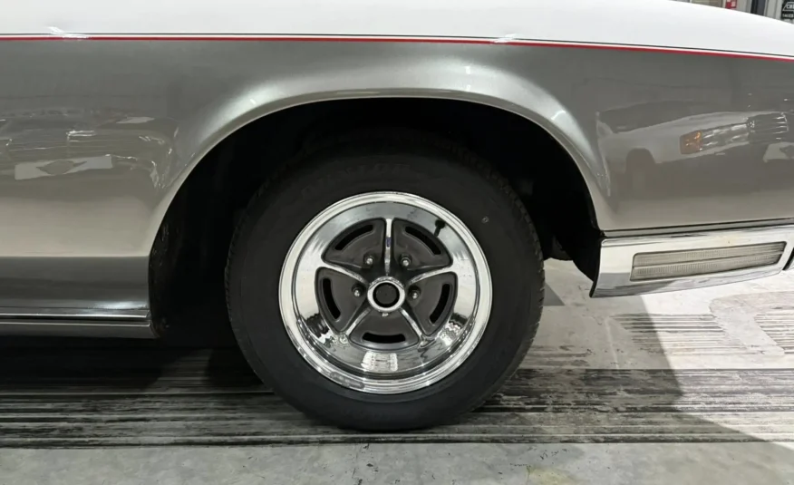 vintage exotic collector car