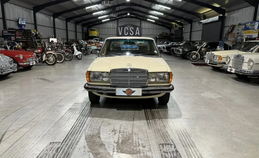 collector investment roadster