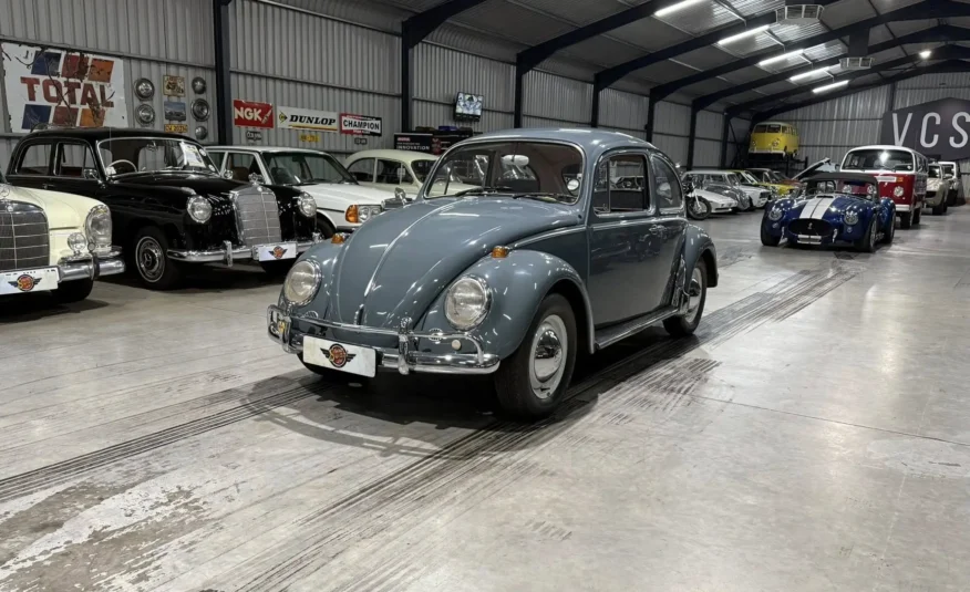 investment sports classic