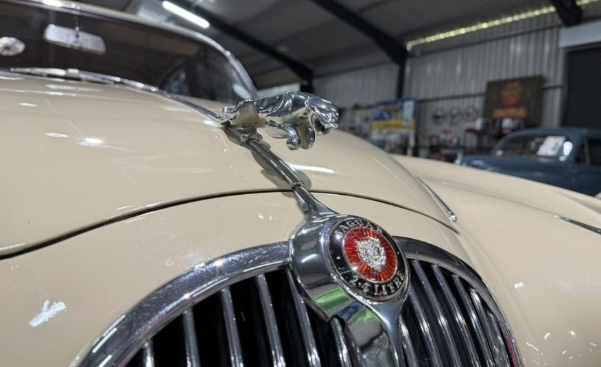 collector showroom sports car