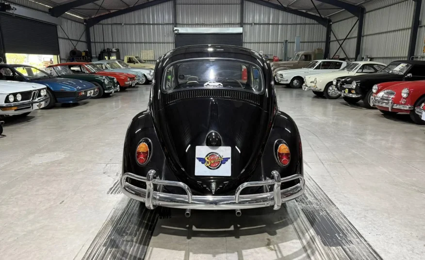 museum collector classic