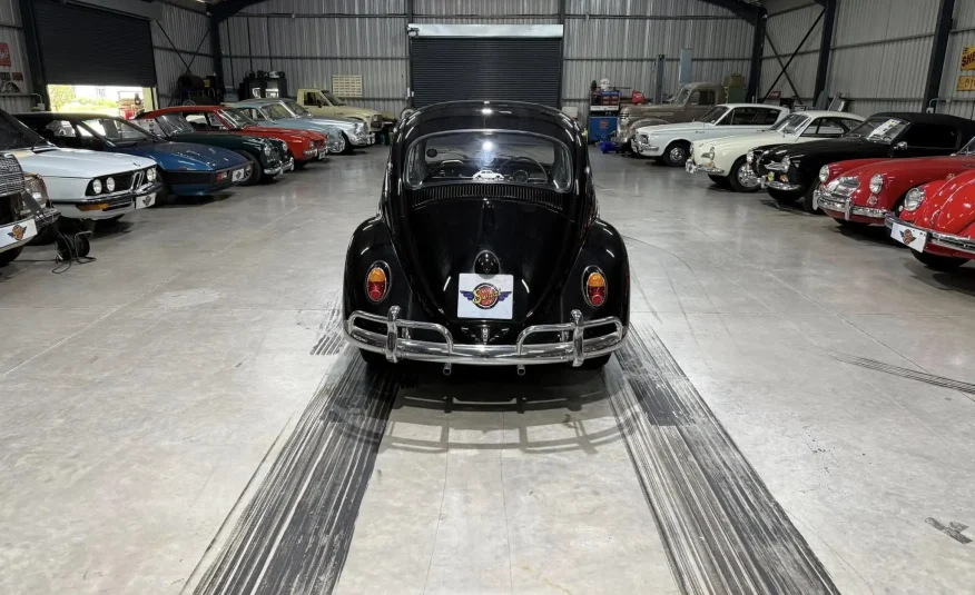 vintage exotic collector car