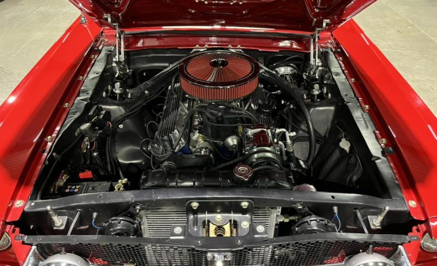 collector showroom sports car