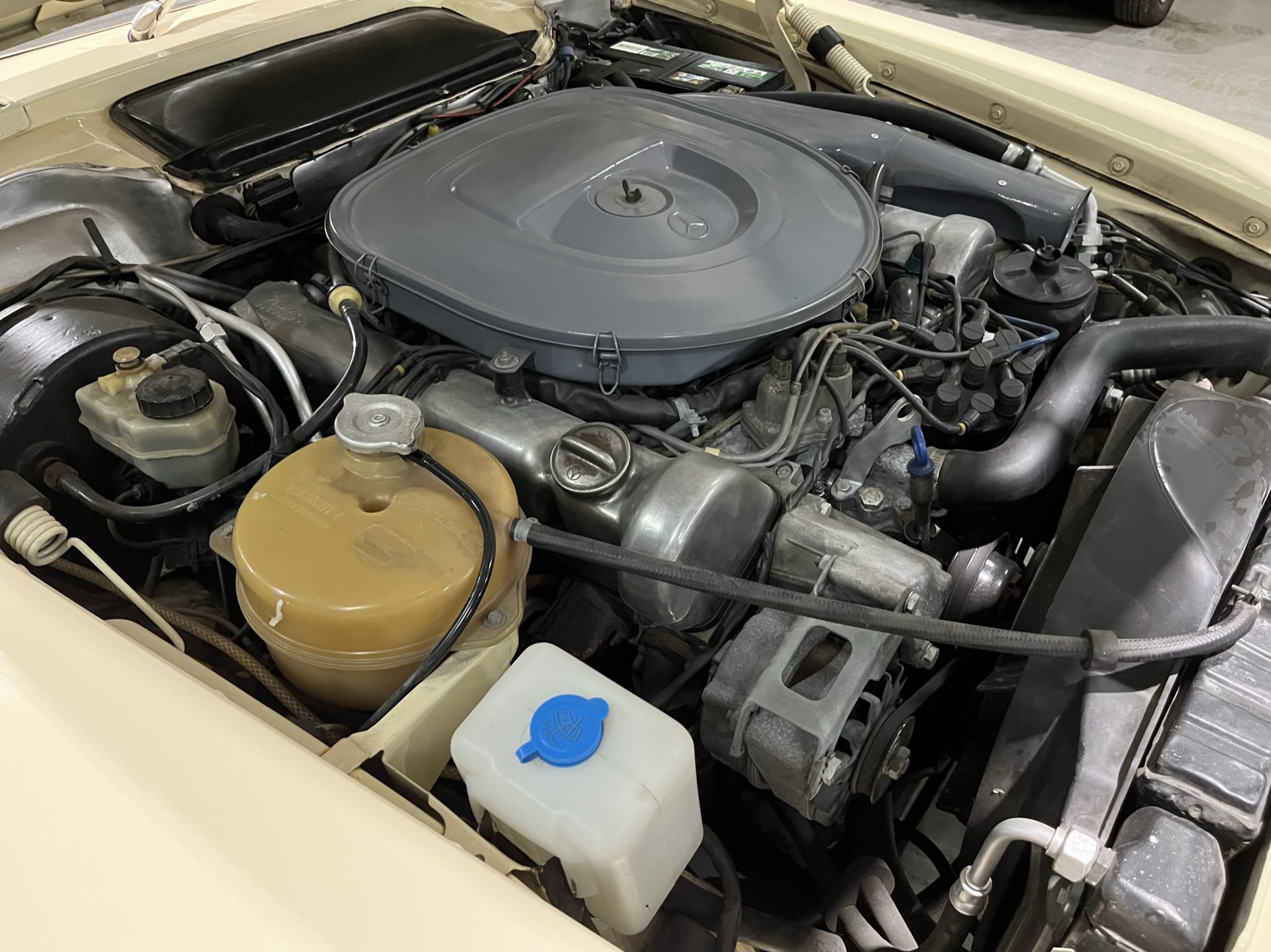 rare vintage roadster South Africa