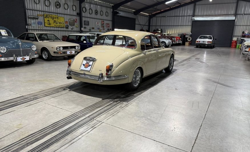 classic car enthusiast South Africa