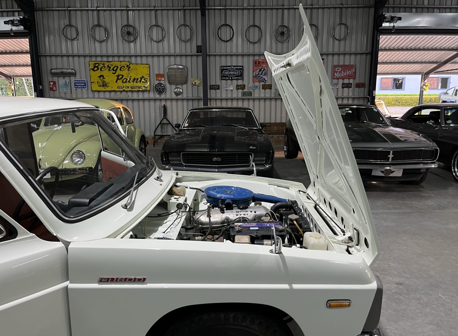 rare collector coupe