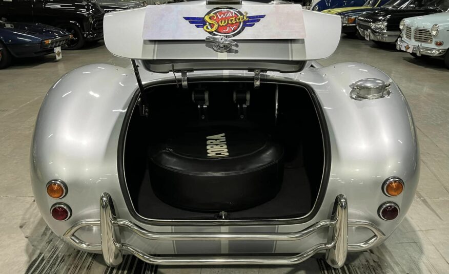 vintage exotic collector car