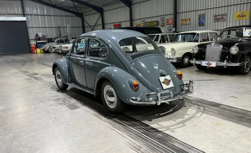 collector edition vintage car