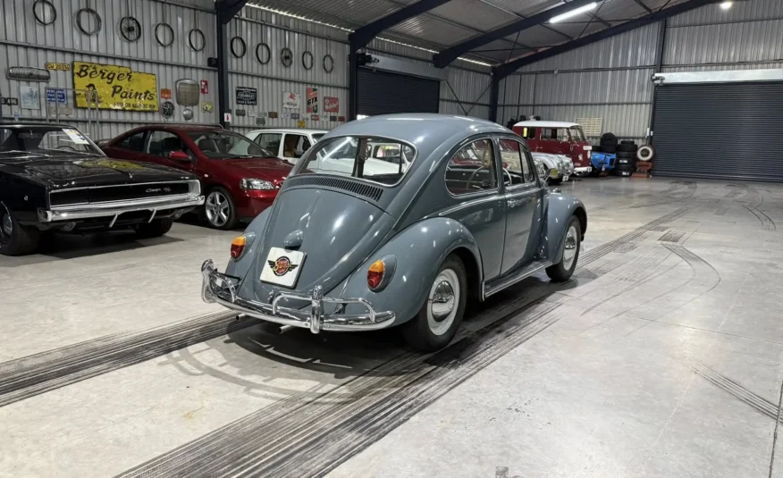 enthusiast classic car South Africa