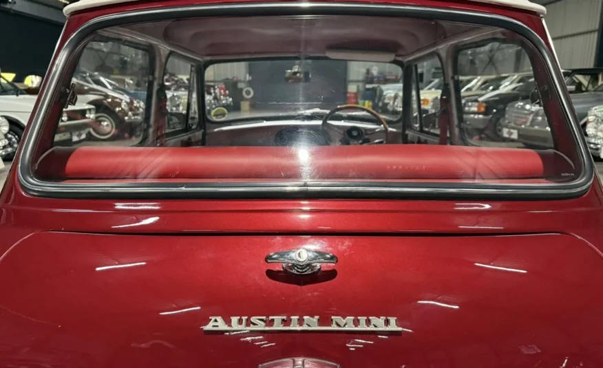 vintage exotic collector car