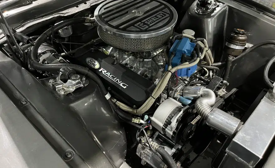 museum collector classic