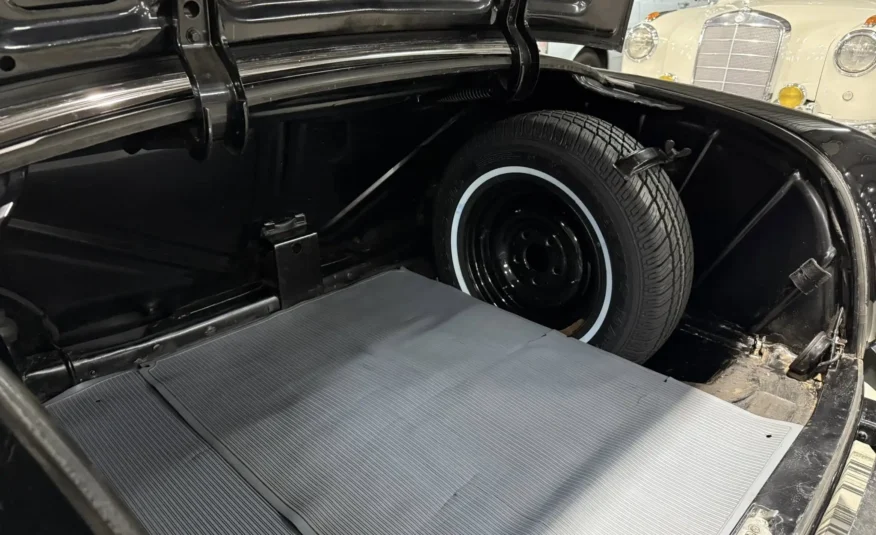 classic car enthusiast South Africa