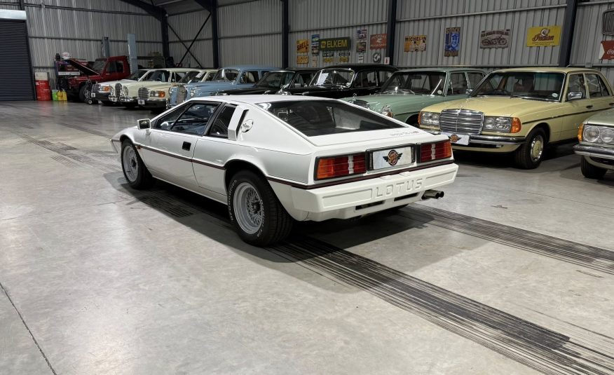 South Africa collector showroom