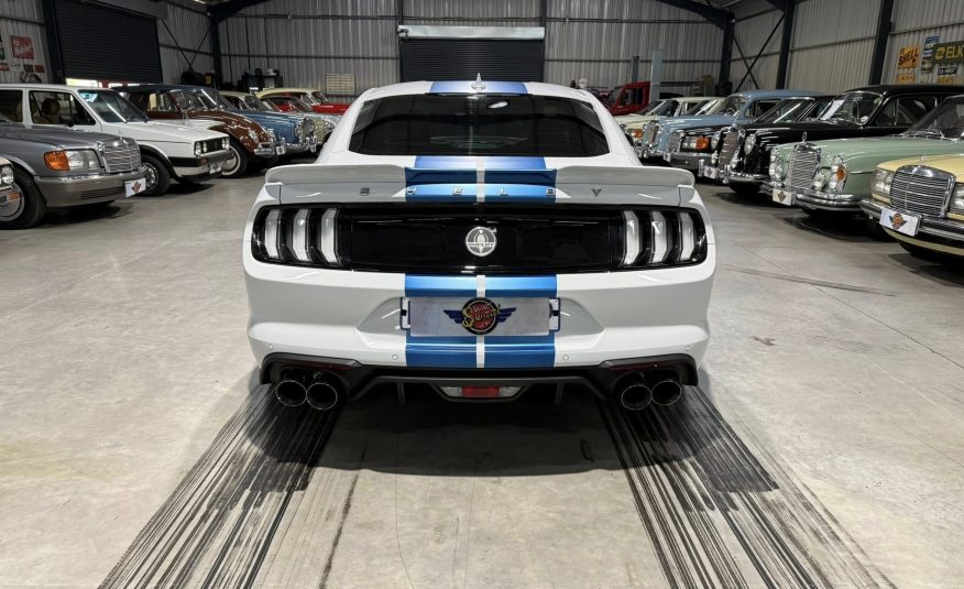 classic car enthusiast South Africa