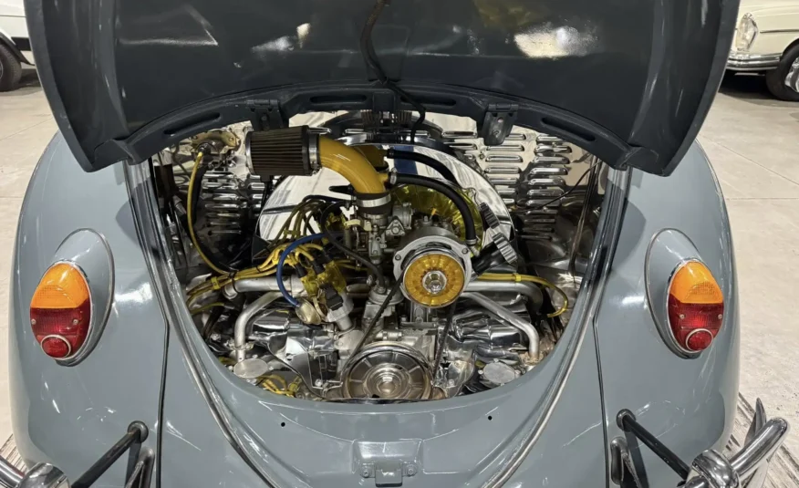 South African classic car collection