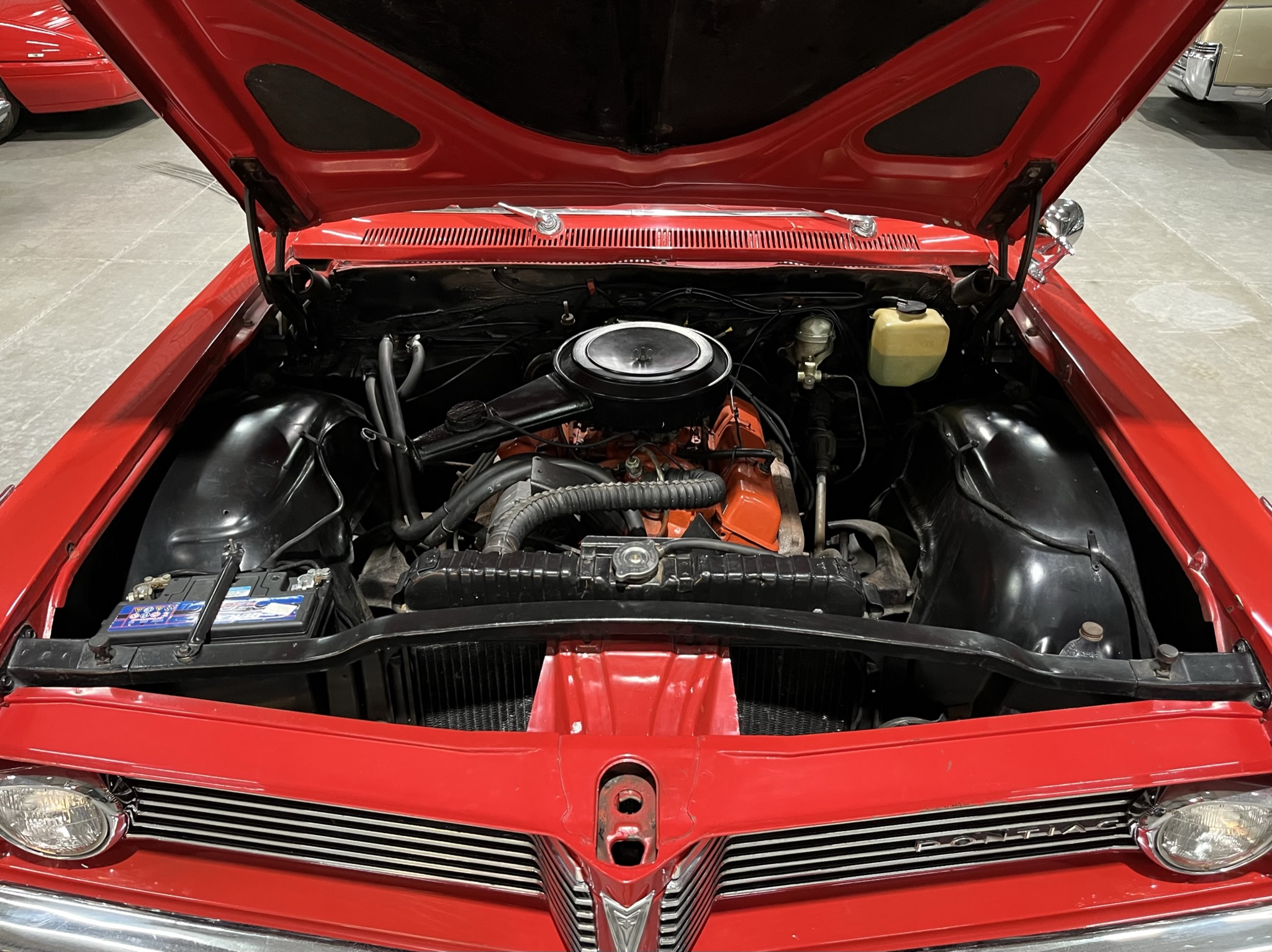 collector investment roadster