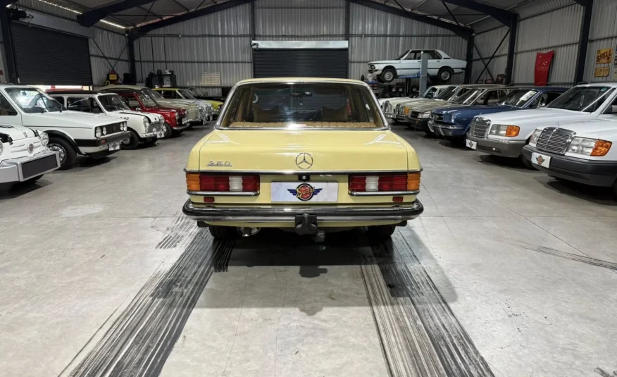 collector grade sports car