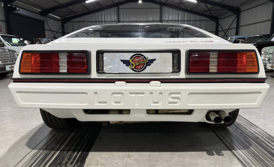 rare vintage roadster South Africa