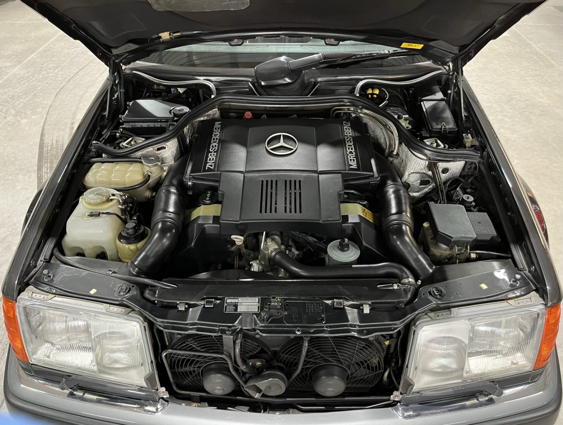 restored icon classic South Africa