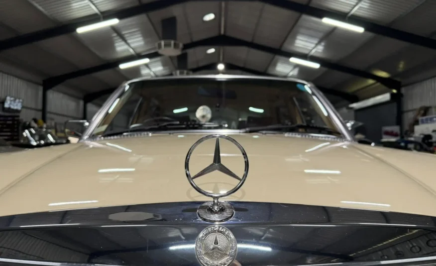 premium showroom collector vehicle