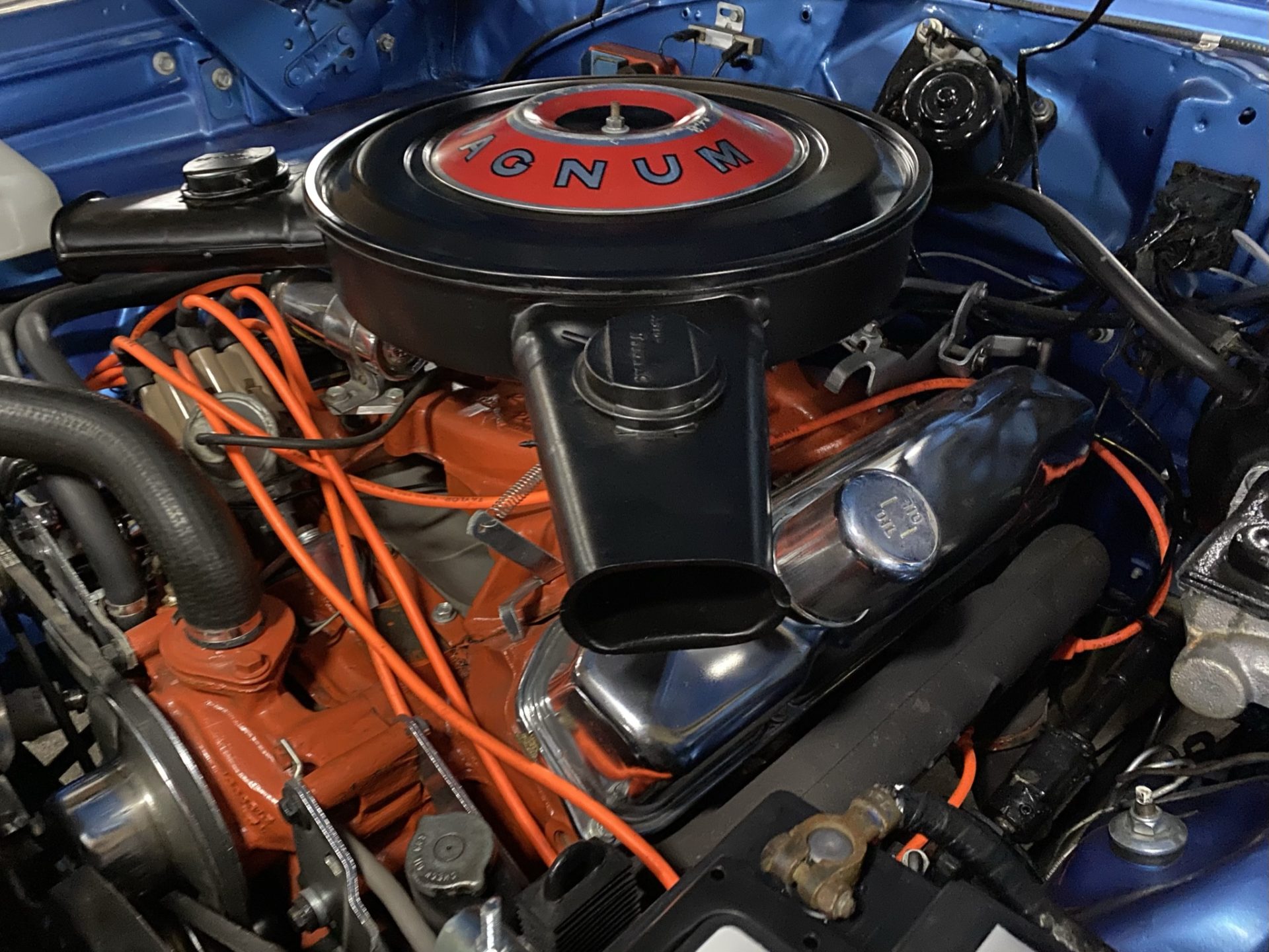 rare vintage roadster South Africa