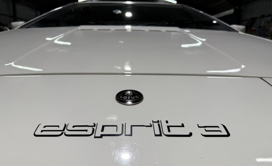 classic muscle car for sale