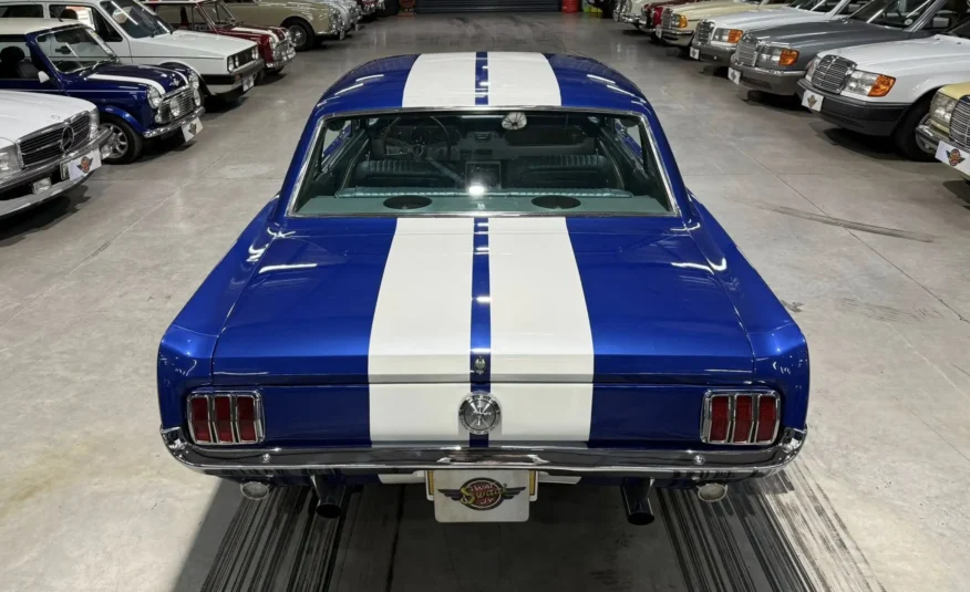 classic car enthusiast South Africa