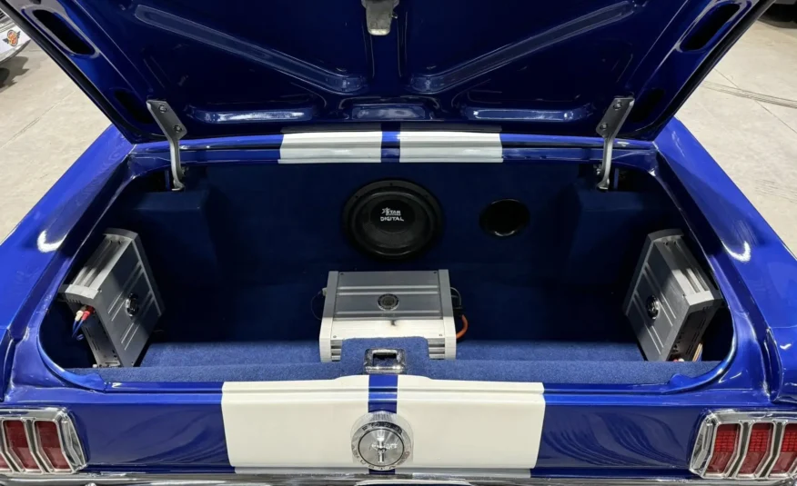 premium showroom collector vehicle