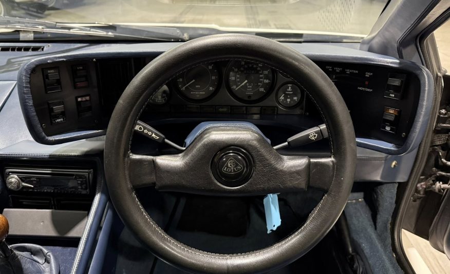 vintage collector automobile