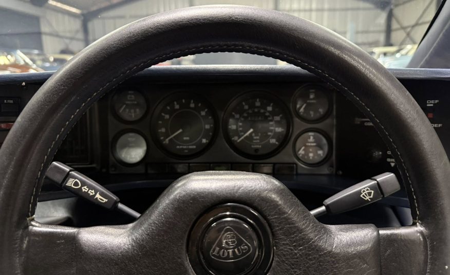 classic car dealer South Africa