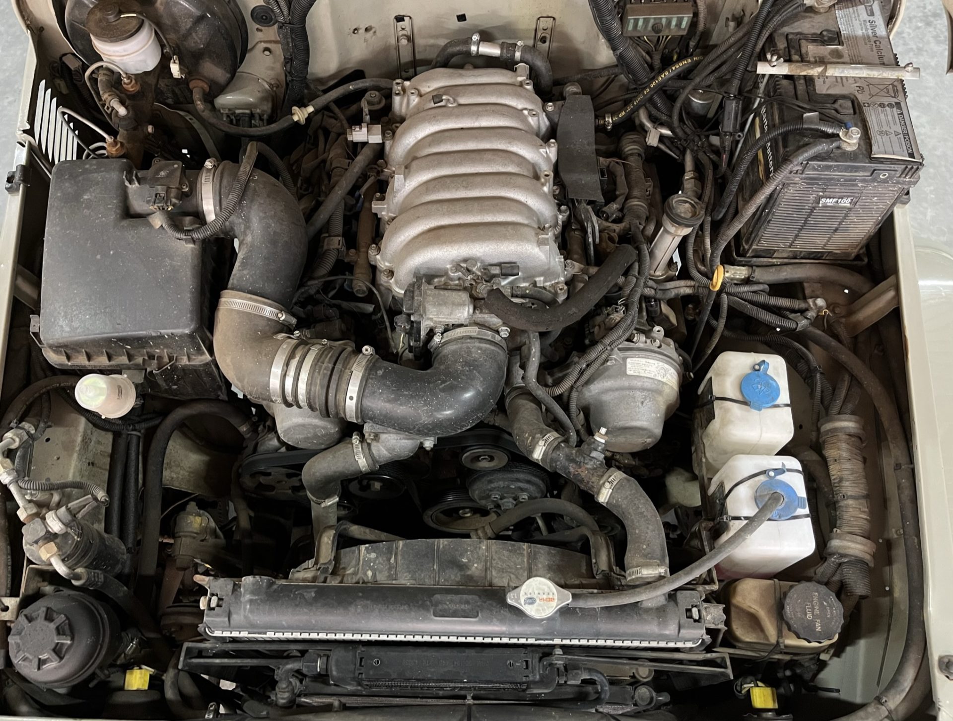 restored icon classic South Africa