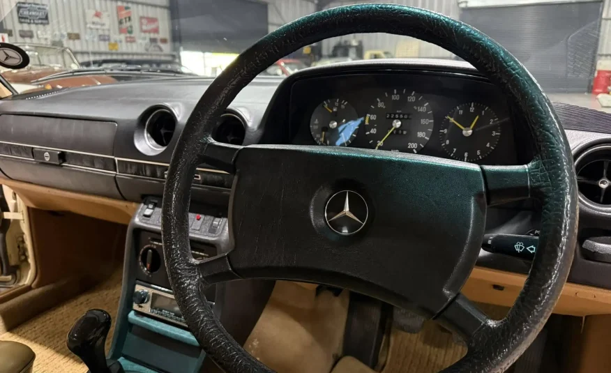 classic car enthusiast South Africa