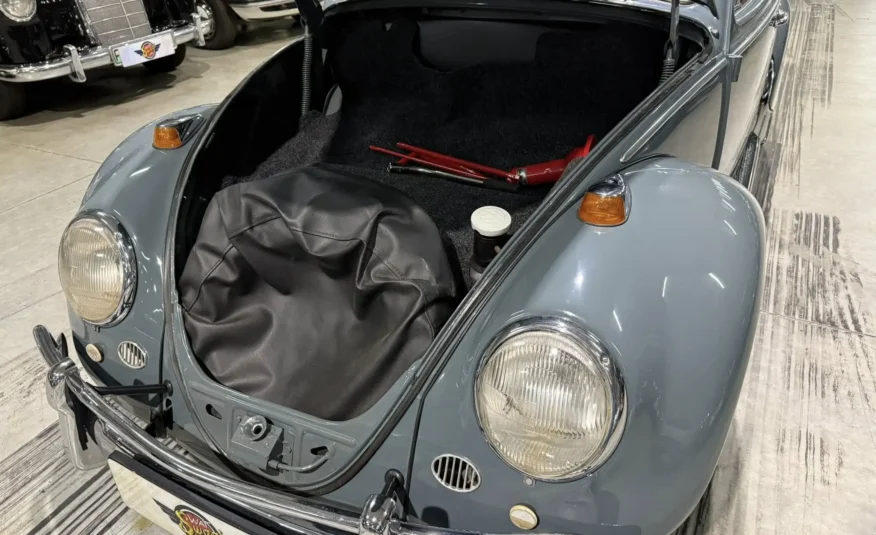 rare vintage roadster South Africa