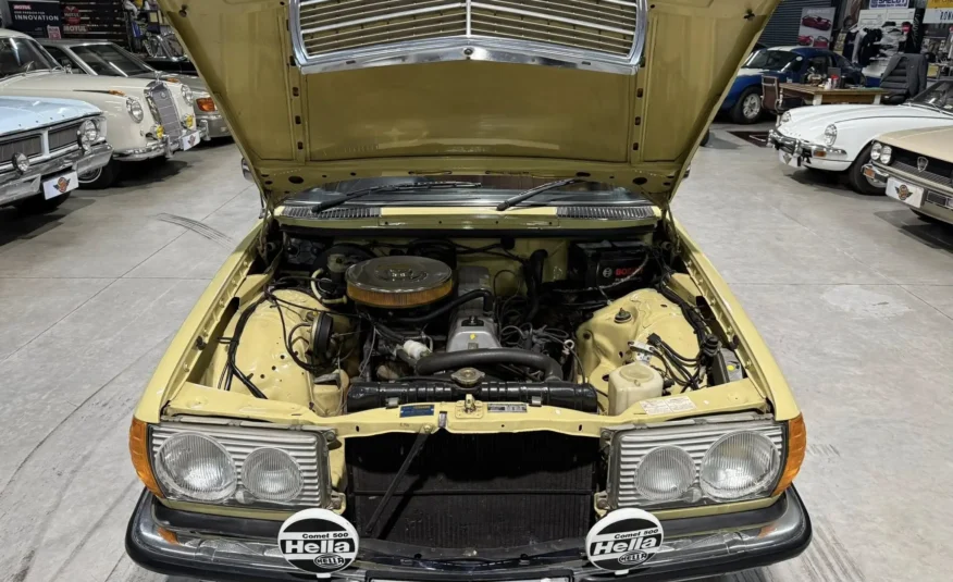 vintage exotic collector car