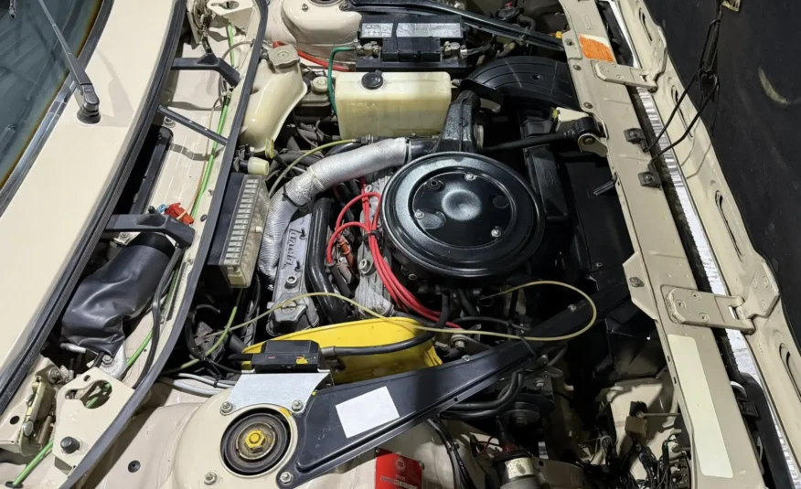 rare vintage roadster South Africa