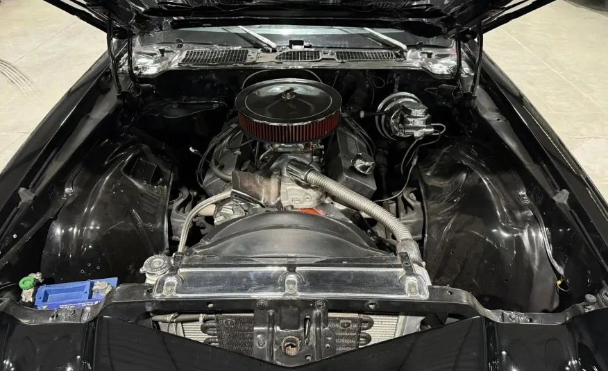 classic car enthusiast South Africa