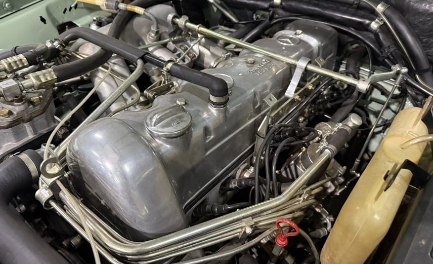 classic car enthusiast South Africa