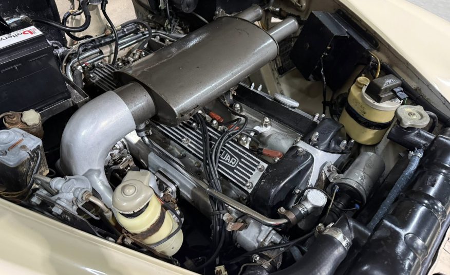 rare classic car South Africa