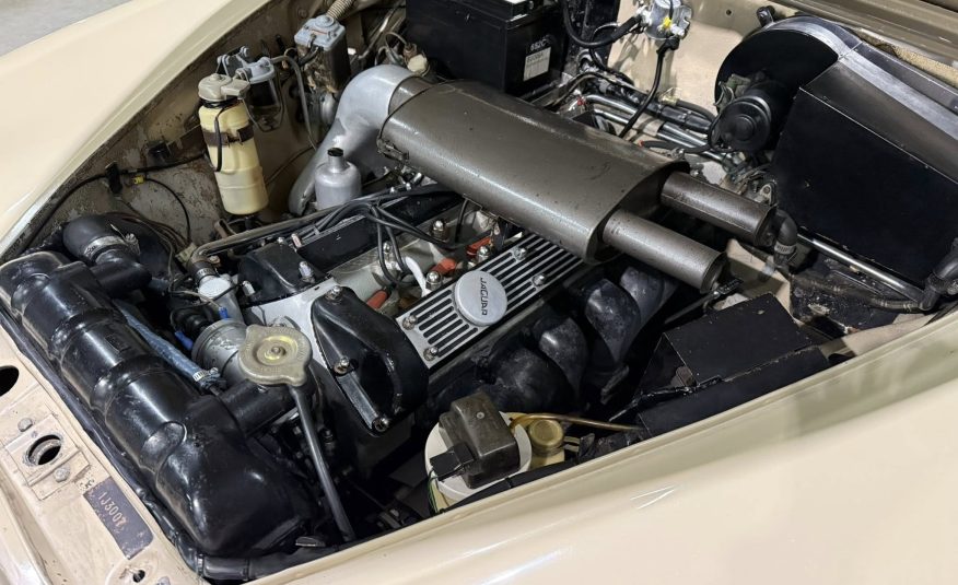 vintage automotive icon