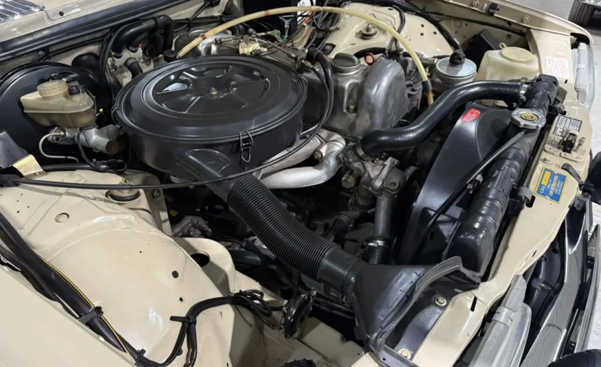 classic road car South Africa