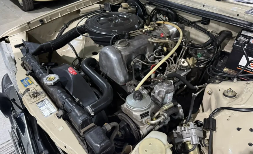 classic car enthusiast South Africa