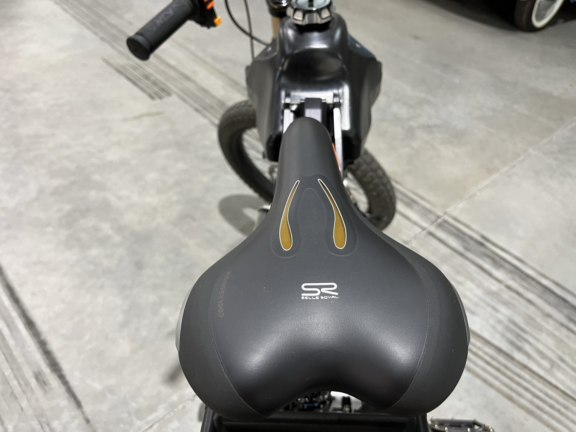 historic motor car South Africa