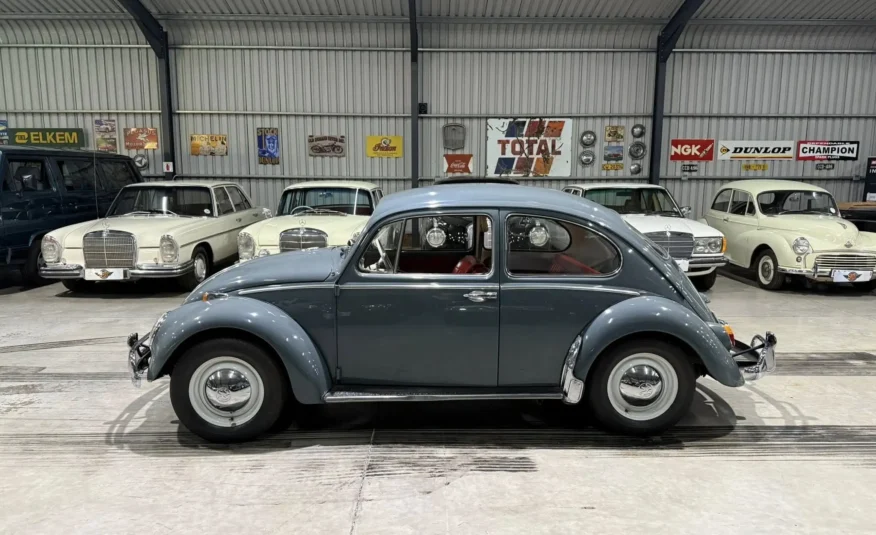 classic car investment South Africa