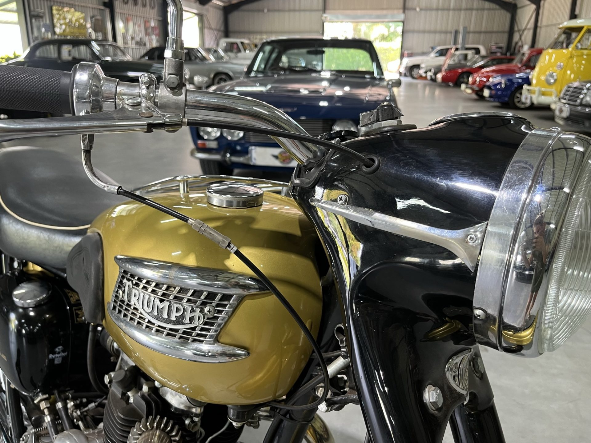 collector investment roadster