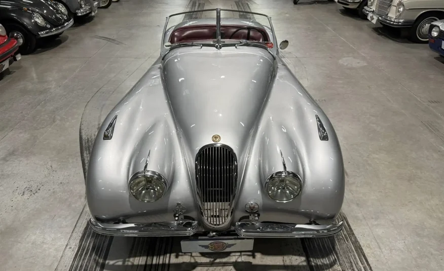 South Africa collector showroom