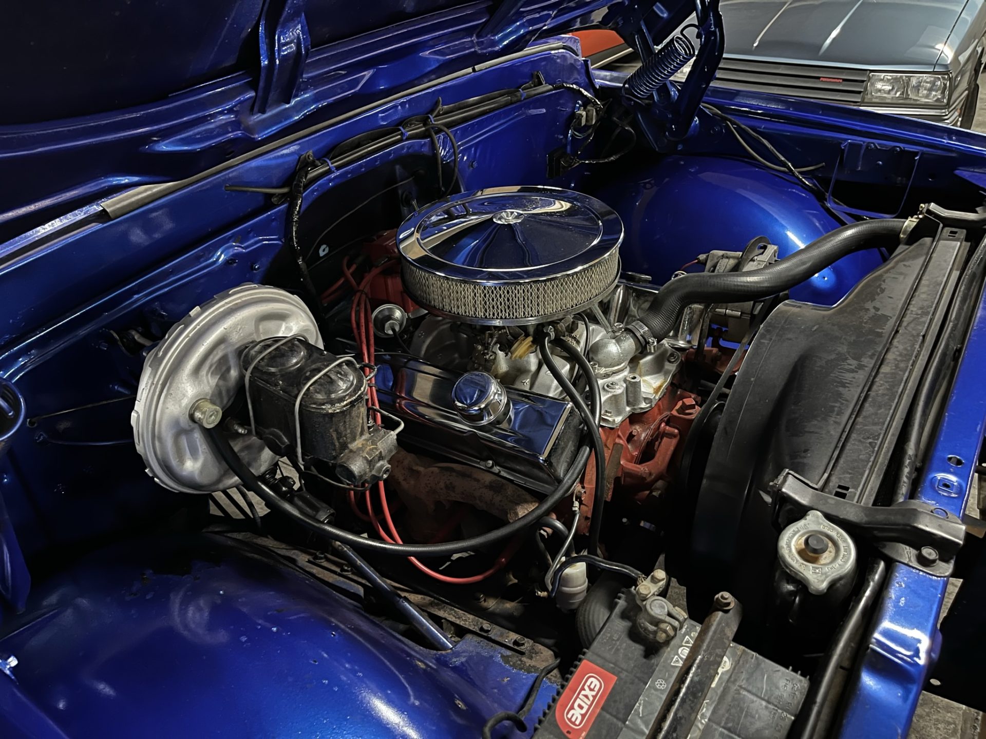 collector investment roadster