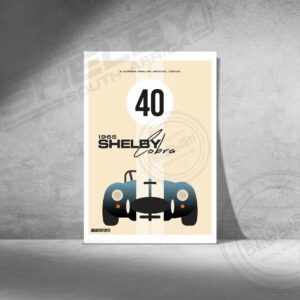 Shelby front view Light Blue 1.jpg