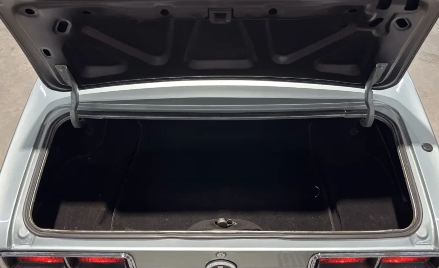 classic car enthusiast South Africa