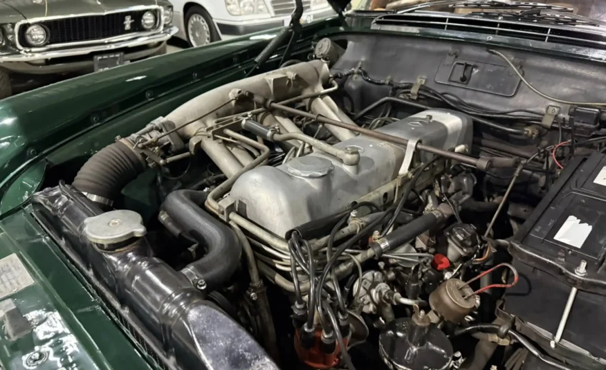 classic European coupe for sale