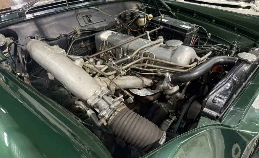 vintage speed icon South Africa